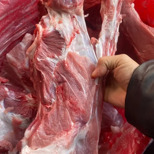 新鲜本地土猪尾叉骨多肉现切发货顺丰冷链