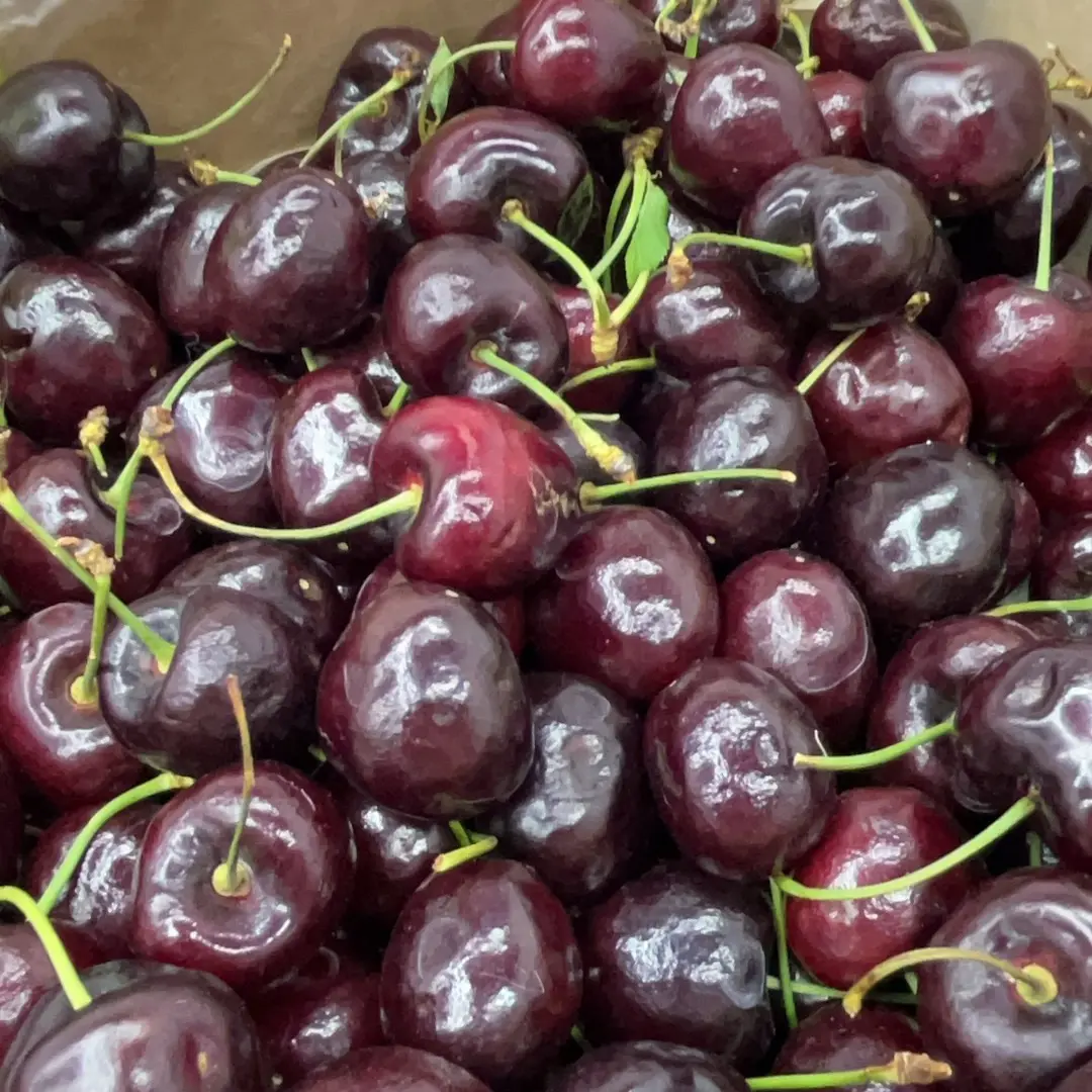 金龙 海运智利进口拉宾斯车厘子2J（内附果径卡）