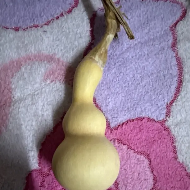 文玩葫芦一物一价不退不换（实物直播间为准）