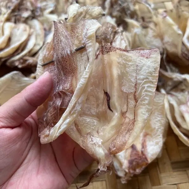 汕尾本港淡晒鱿鱼干