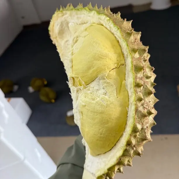 泰子鲜金枕黑沙土A果