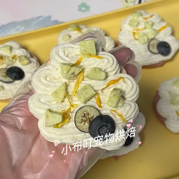 宠物零食冻干 奇异果山药鸡肉泡芙 鸭肉泡芙冻干 