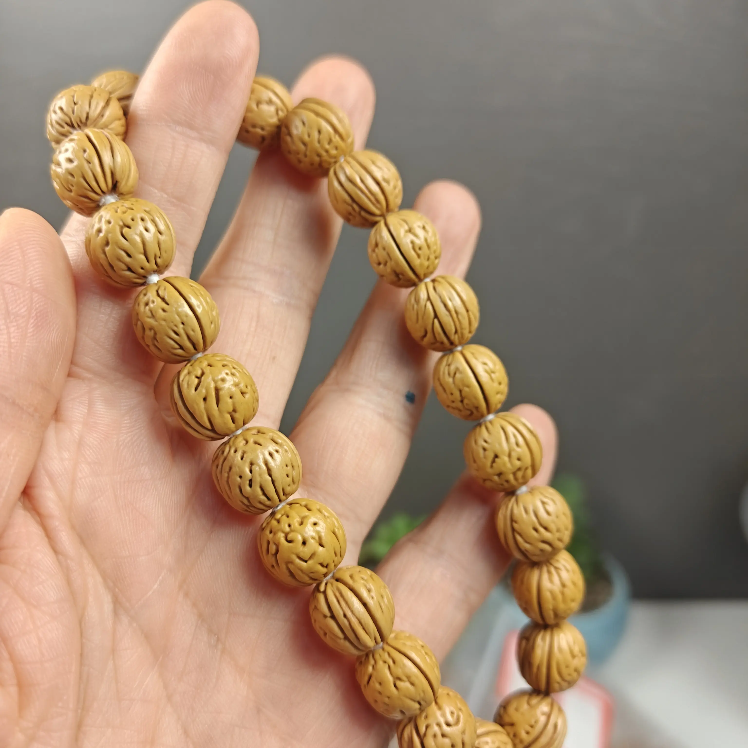 盘锦野生水晶奶油核