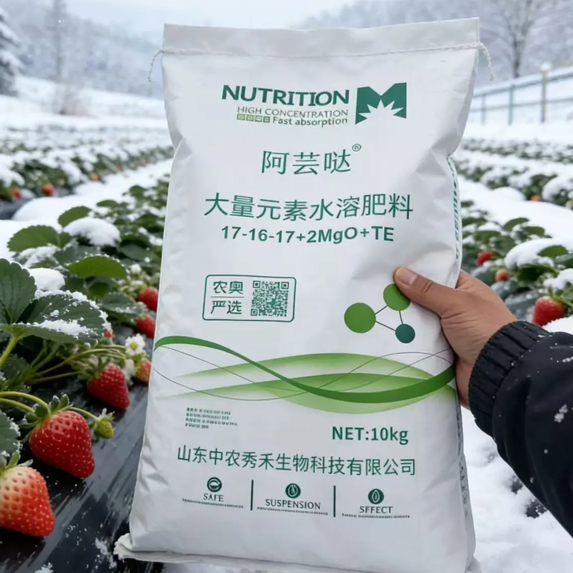 草莓低温肥大量元素促生长中量元素提品质