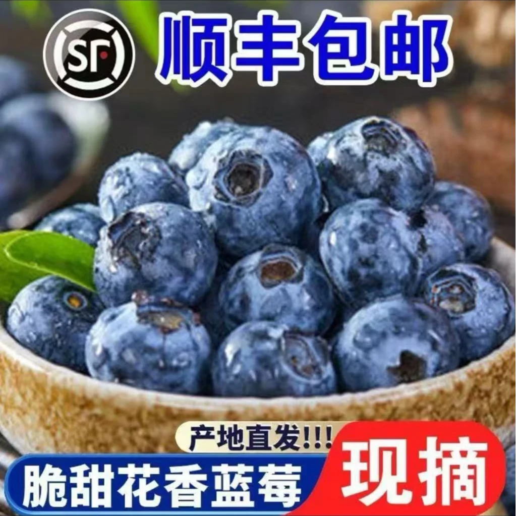 【顺丰包邮】新鲜蓝莓8盒脆甜花香蓝莓应季水果单盒100克净重