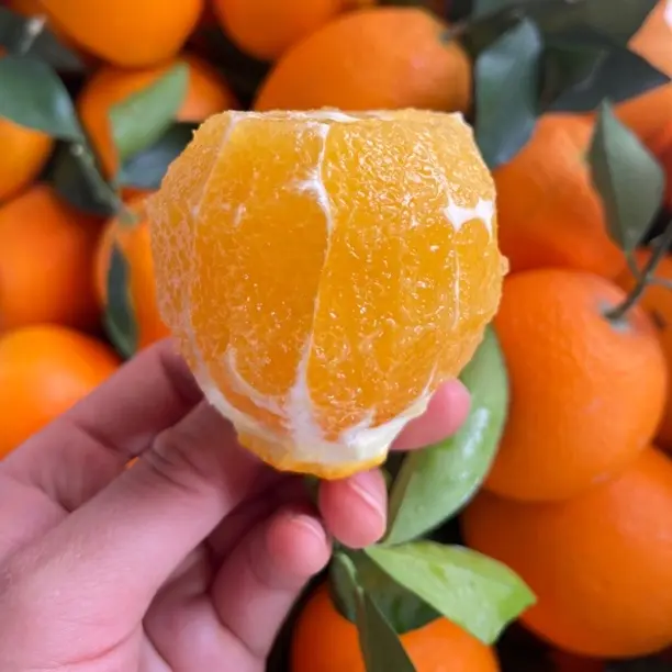 寻乌赣南脐橙新鲜多汁产地直发当季水果