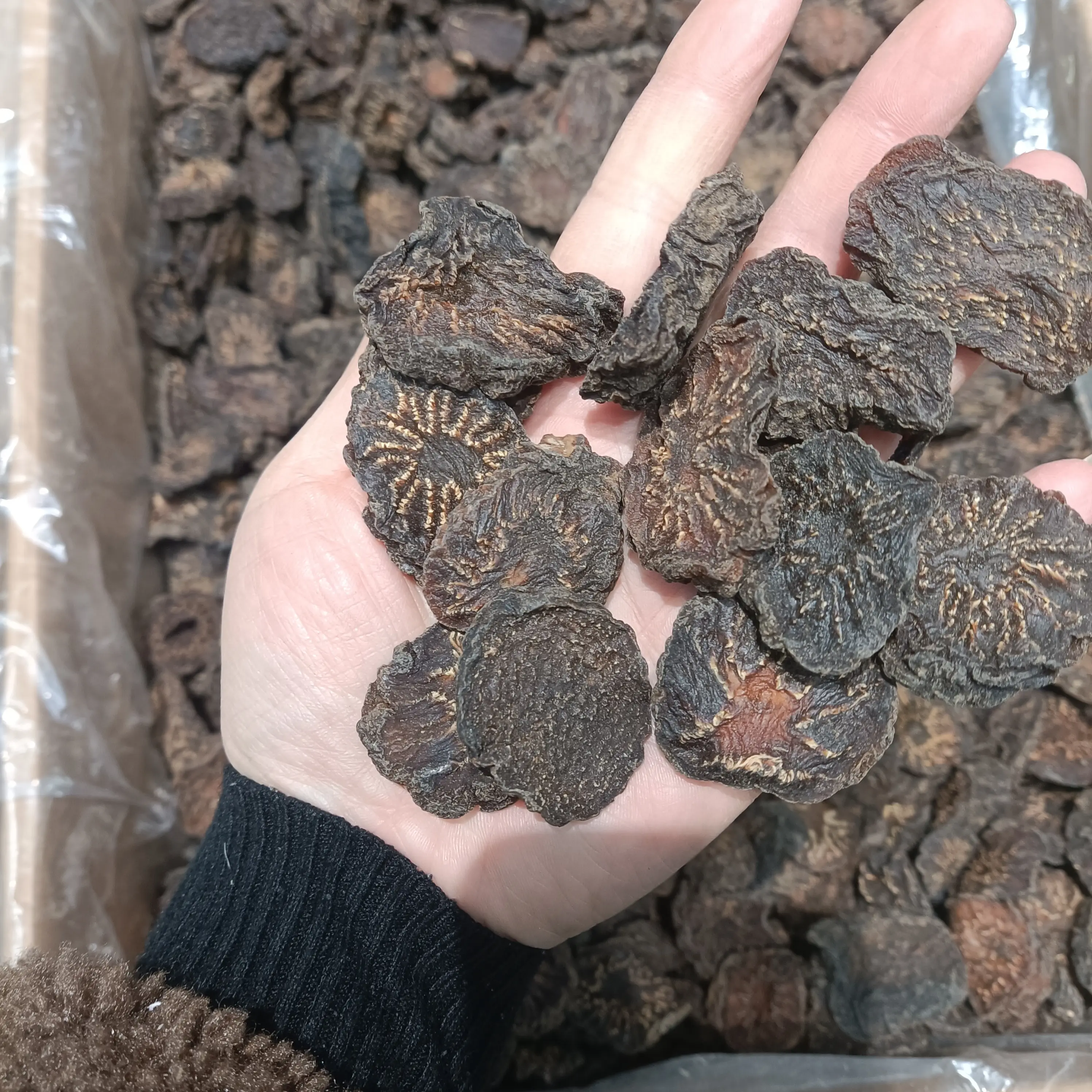 内蒙古阿拉善肉枞蓉片软质沙漠大云原产地可搭配枸杞泡水煲汤泡酒