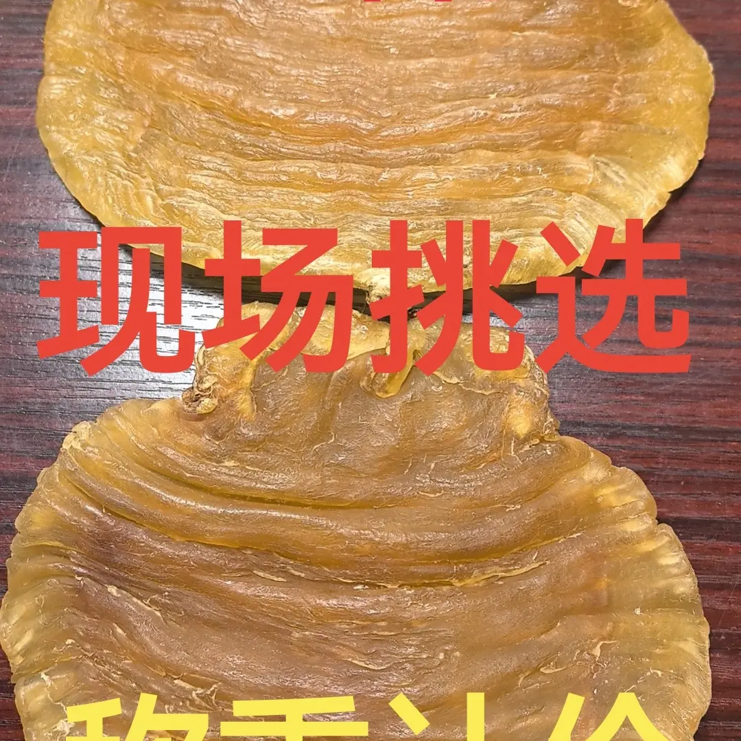 红鸡赤嘴鱼胶花胶滋补佳品适合各阶段人群食用