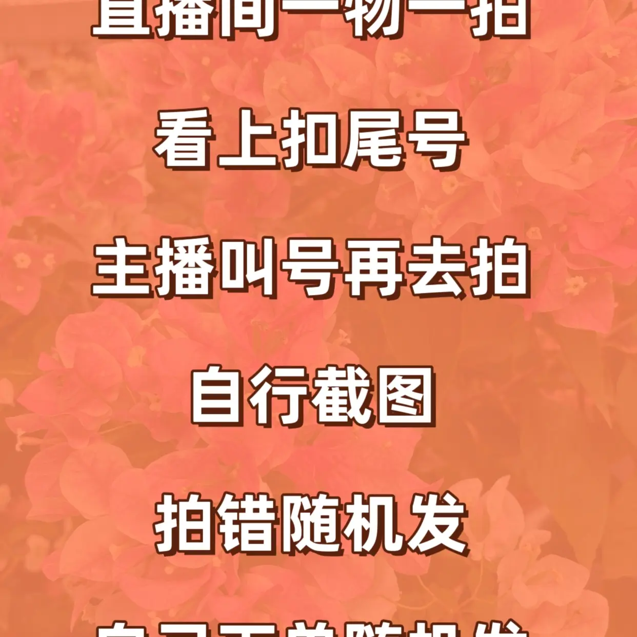 不掉花大花大叶粉嫩嫩品种原生三角梅