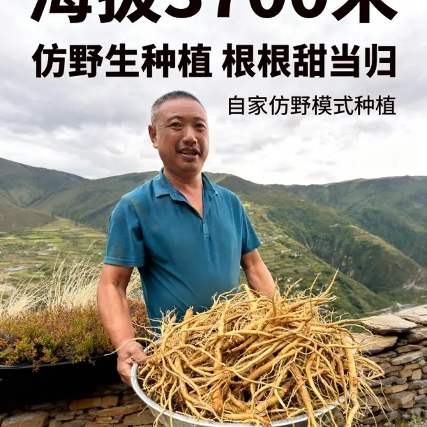 四川阿坝州小金县新桥乡头卡村农民自种甜根根粗大根干货全黄花菜