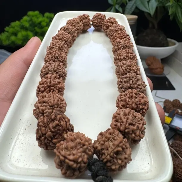 尼泊尔原生态大金刚野生天尊六瓣超头定制