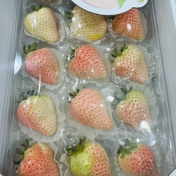 白草莓，每箱12-15个不等净500克，丹东
