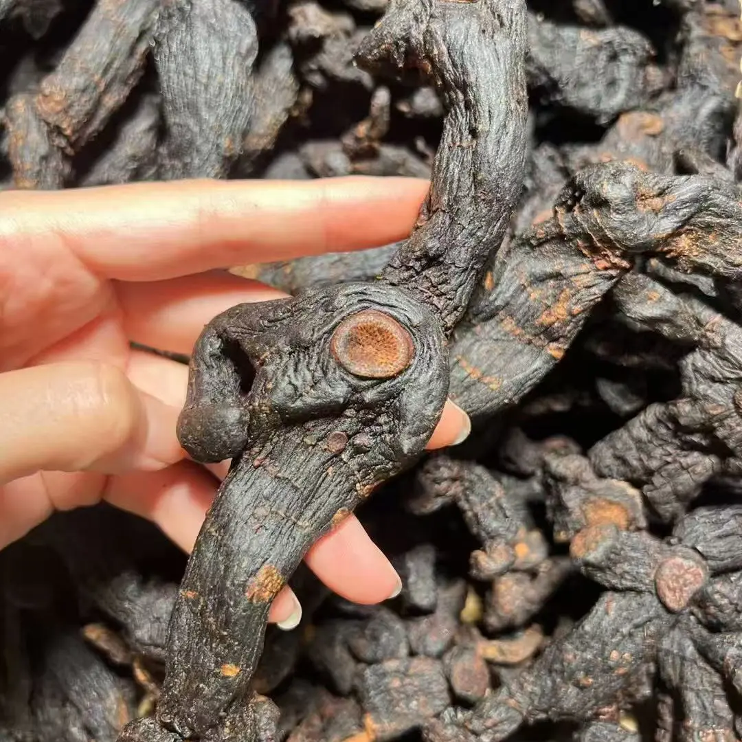 九蒸九晒野生黄精古法制作高品质滋补品