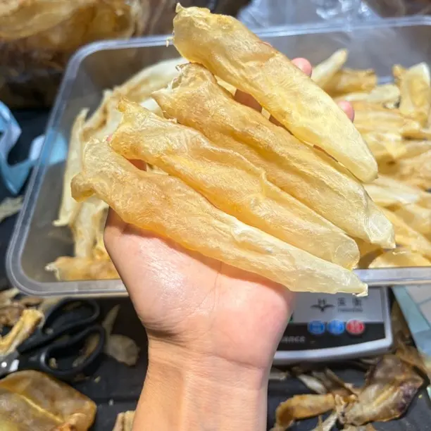 80头蜘蛛母越蜘蛛鱼胶花胶孕期产后滋补佳品