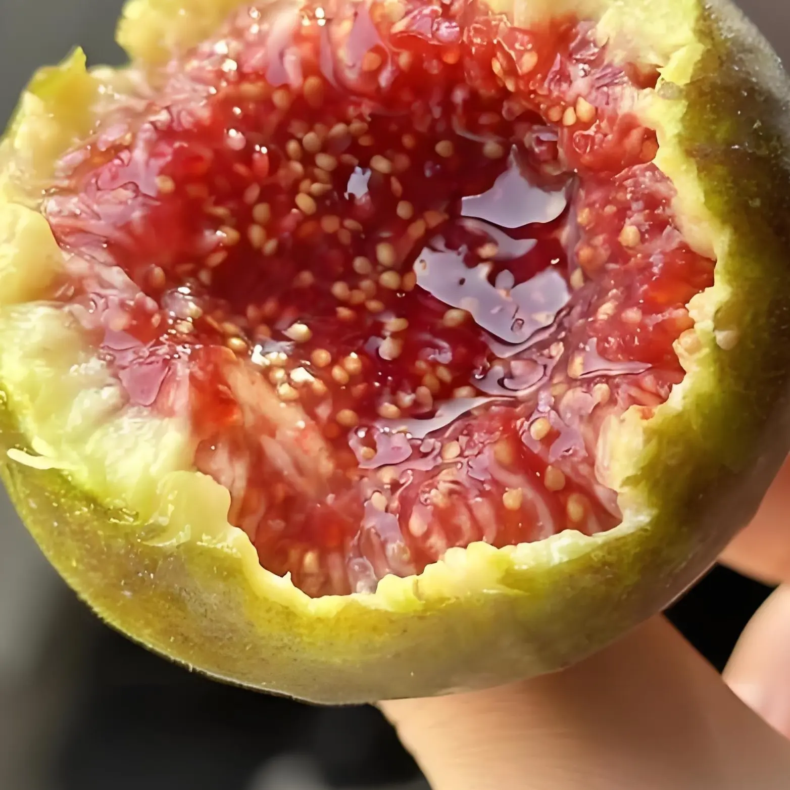 格莱斯无花果高压包