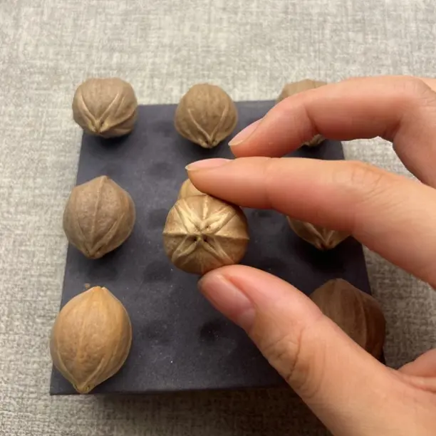 橄榄核梅林铁核23*28正四花，不打孔不加工素核