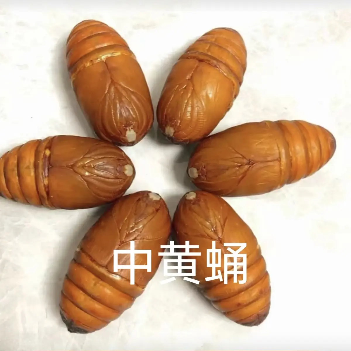 东北特产新鲜柞蚕蛹红茧蛹大黄蛹营养丰富高蛋白产地直发