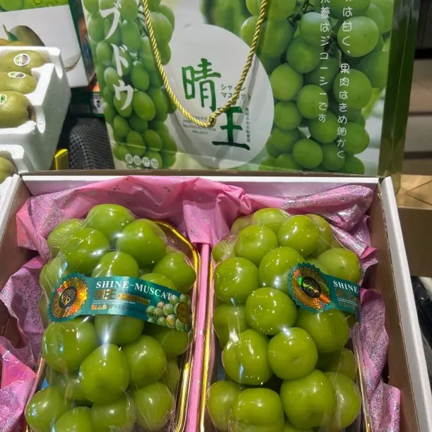 精美礼品盒晴王阳光玫瑰葡萄青提无籽新鲜应季水果节日送亲人送朋友送老师98一盒云南省