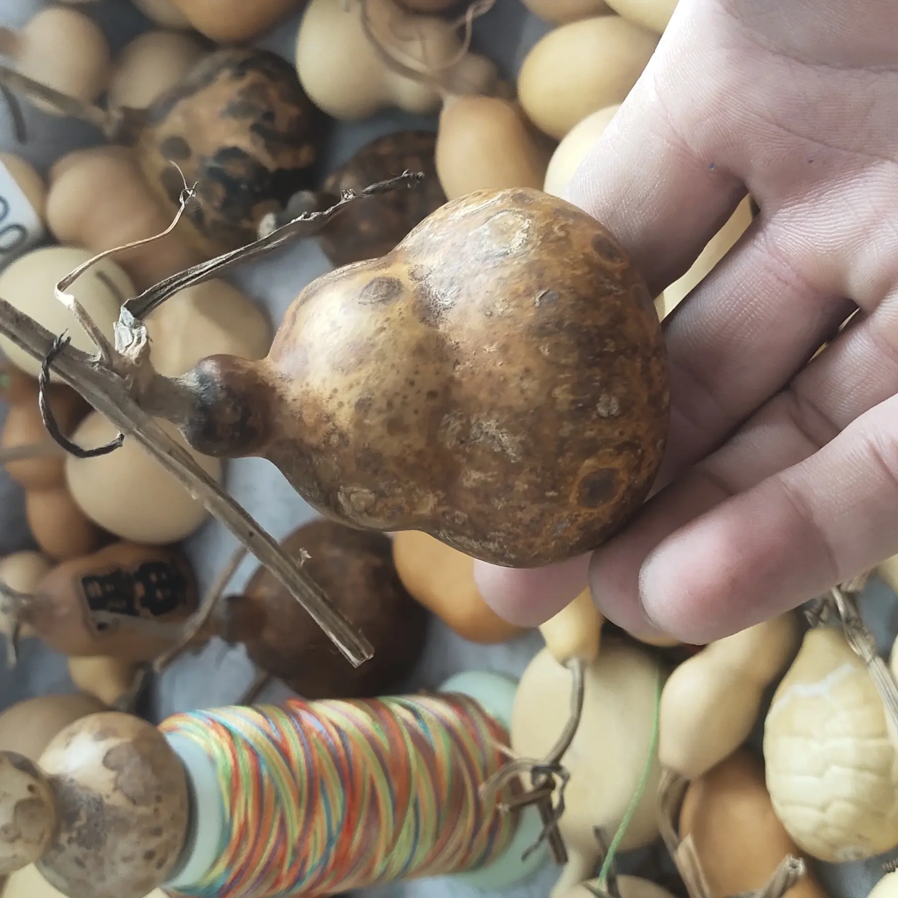 盘玩手把件创意天然花皮天坛墩纯天然绿色无公害默认微瑕