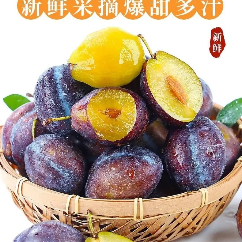 东北新鲜现摘西梅李应季水果脆甜可口