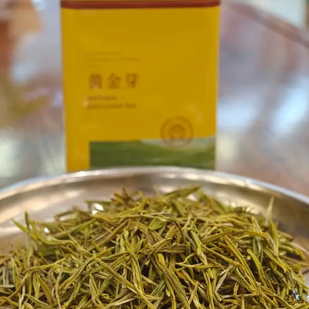 2025谷雨高山黄金叶绿茶新茶浓香型耐泡口感醇厚