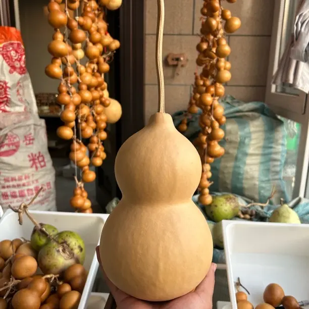 稳坐胖墩奶嘴葫芦净高23左右