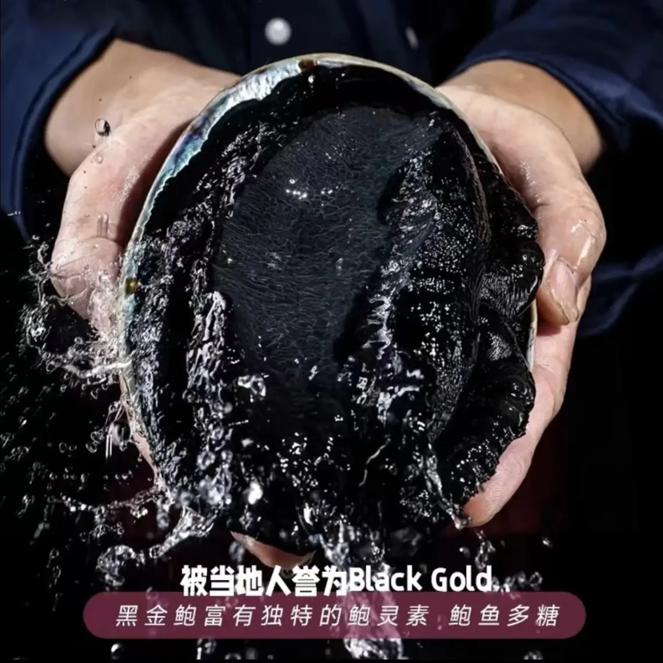 【黑金鲍】 深海野生大鲍鱼 刺身冷冻海捕海鲜整只带壳水产坏单包赔
