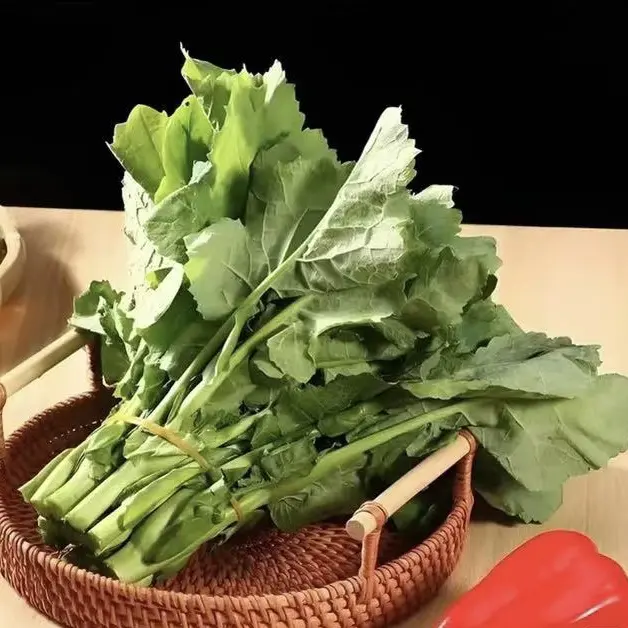 广东省粤北连州农家板蓝根青菜