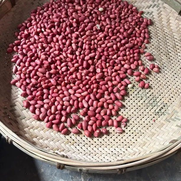 农家自种老品种花生米