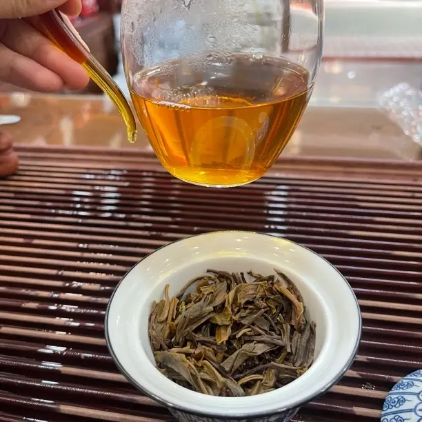 2009年100克易武春芽生砖100g