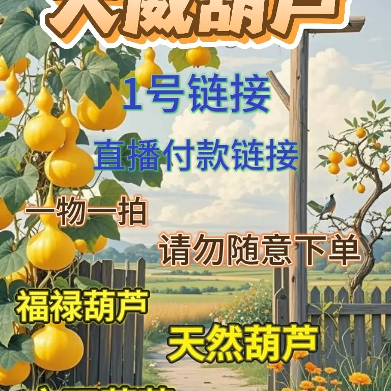 一物一拍【大威葫芦直播间】