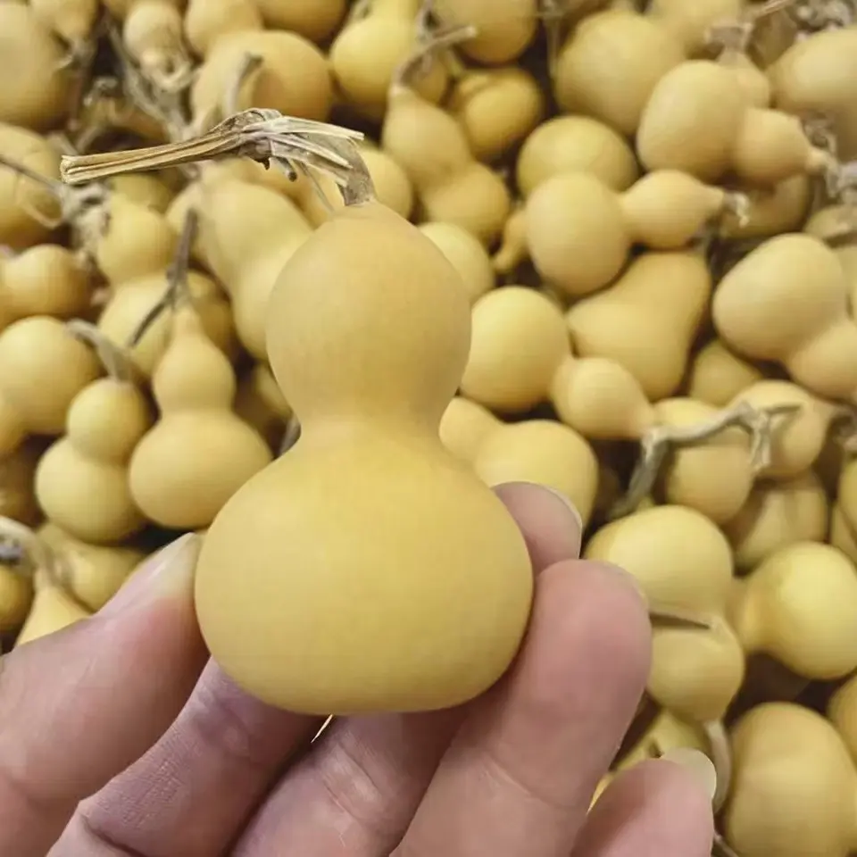 高品质小美果，胖墩，鸭梨打包通货