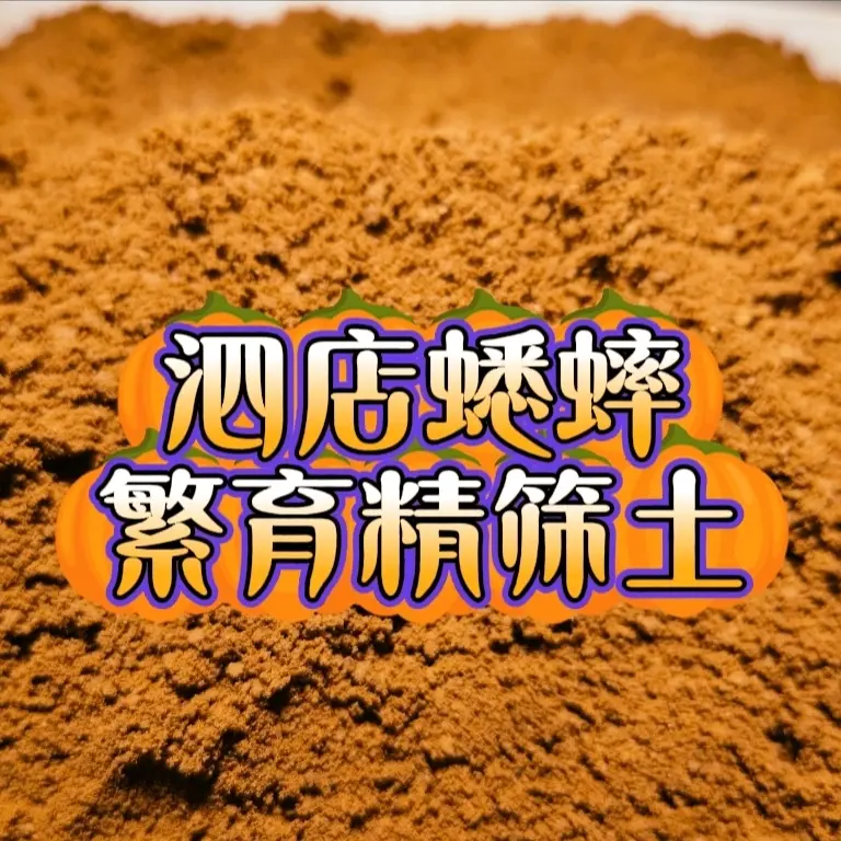 泗店蟋蟀土精筛泗店土蟋蟀饲养套装土10斤