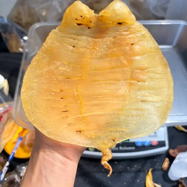 鱼胶花胶批发干货链接