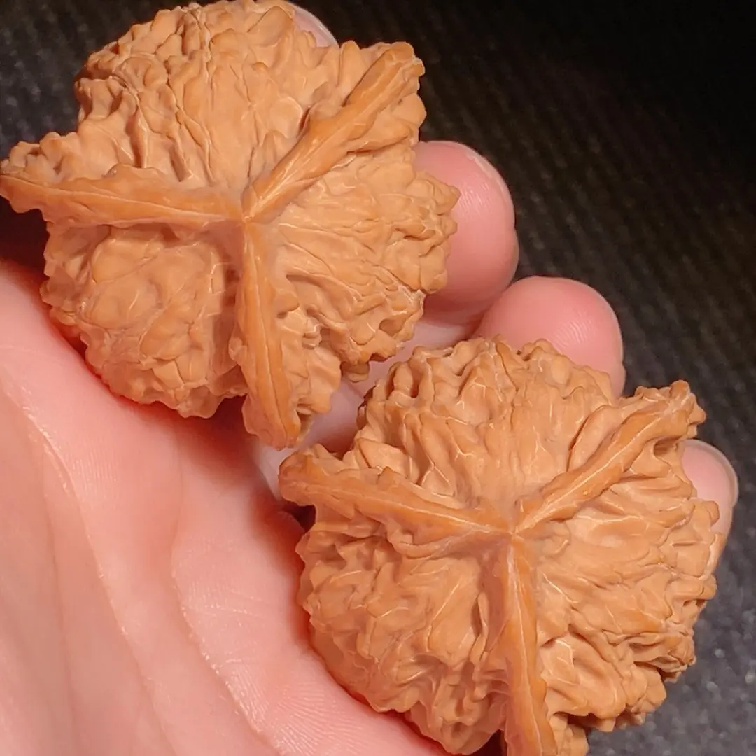 精全品白茬儿•圆润饱满盘山球奔•三棱40尺寸高39石子骨质一物一图