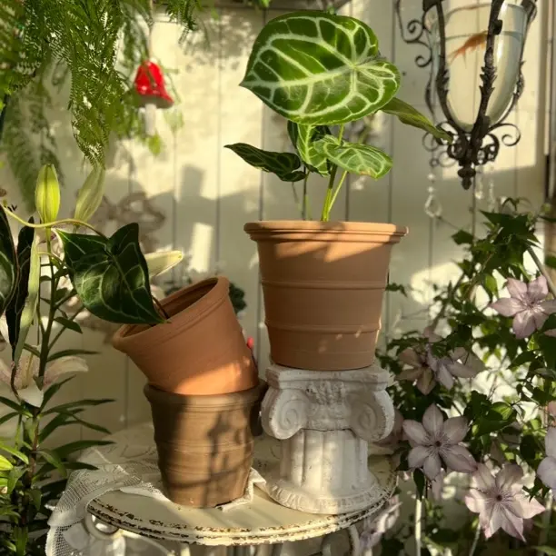 高温红陶花盆辽宁花盆组合特惠装（1个20口径+2个16口径）