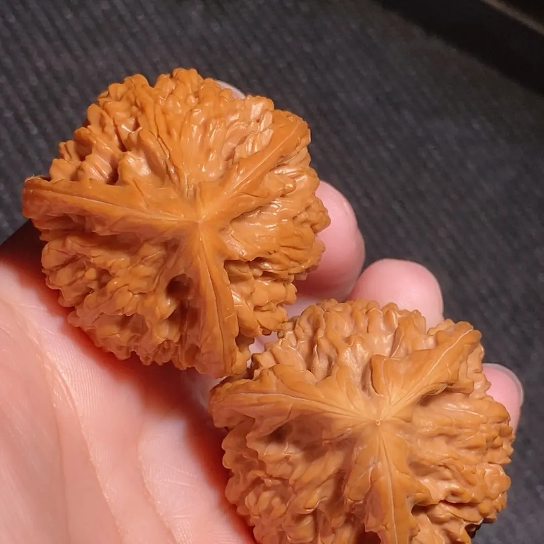 精配40御龙粗筋三棱球奔高40天然保真后期把玩牛筋红漂亮一物一图