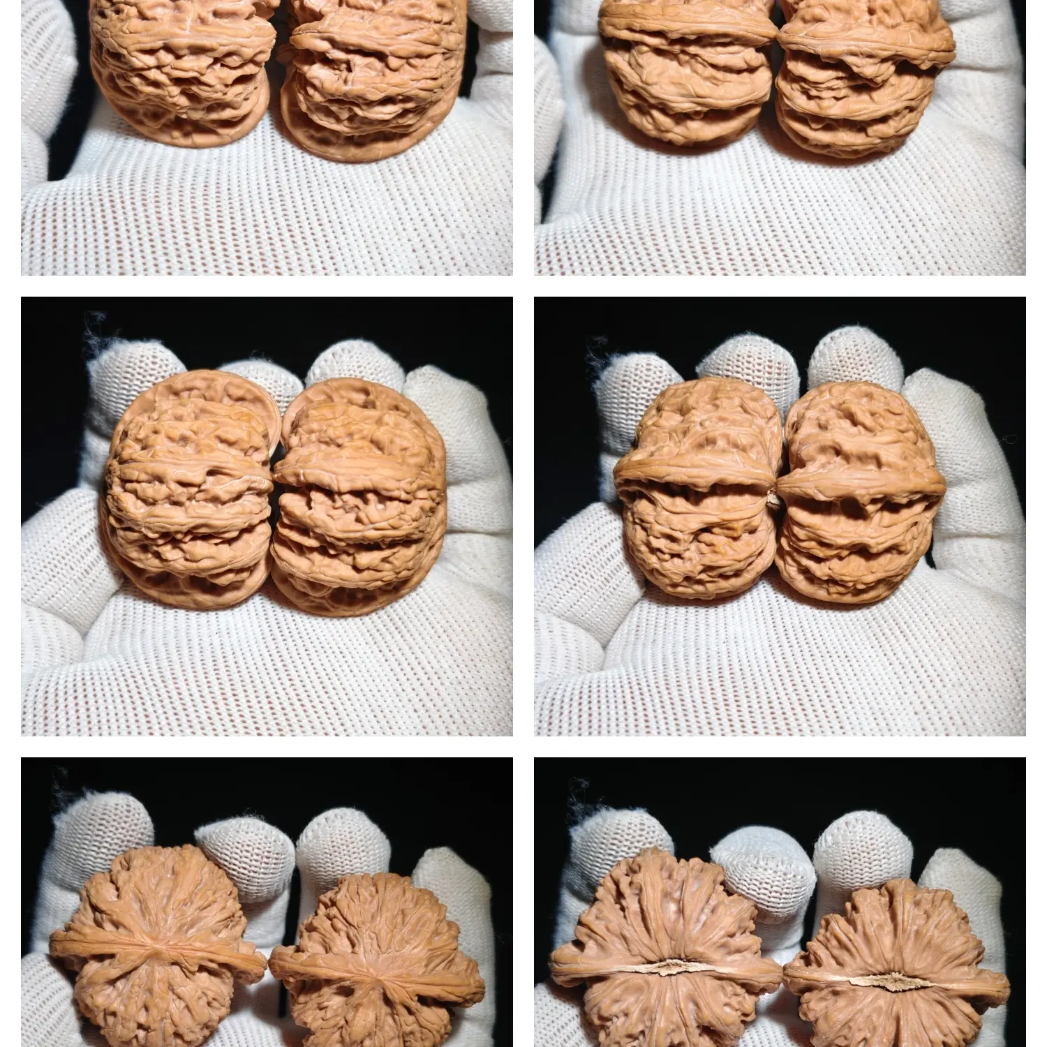 密纹狮子头44大尺寸这尺寸几乎找不到还这么板正004