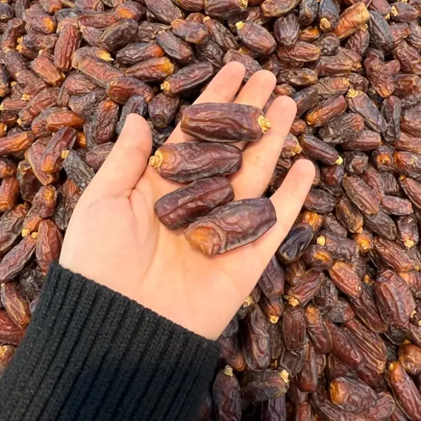 沙特精选大椰枣软糯香甜自然风干