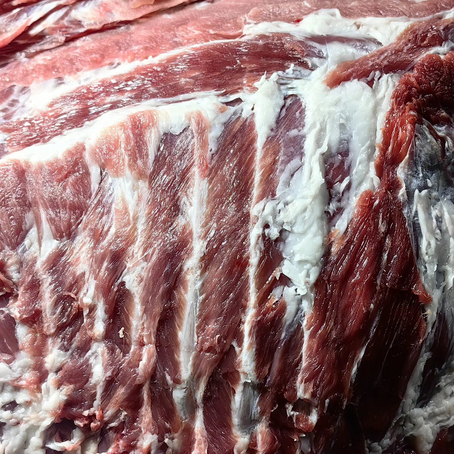 老品种黑毛土猪现杀新鲜原生态散养跑山猪排骨