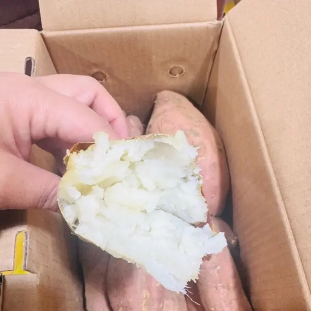 白雪公主地瓜，每箱净3.8-4斤，辽宁