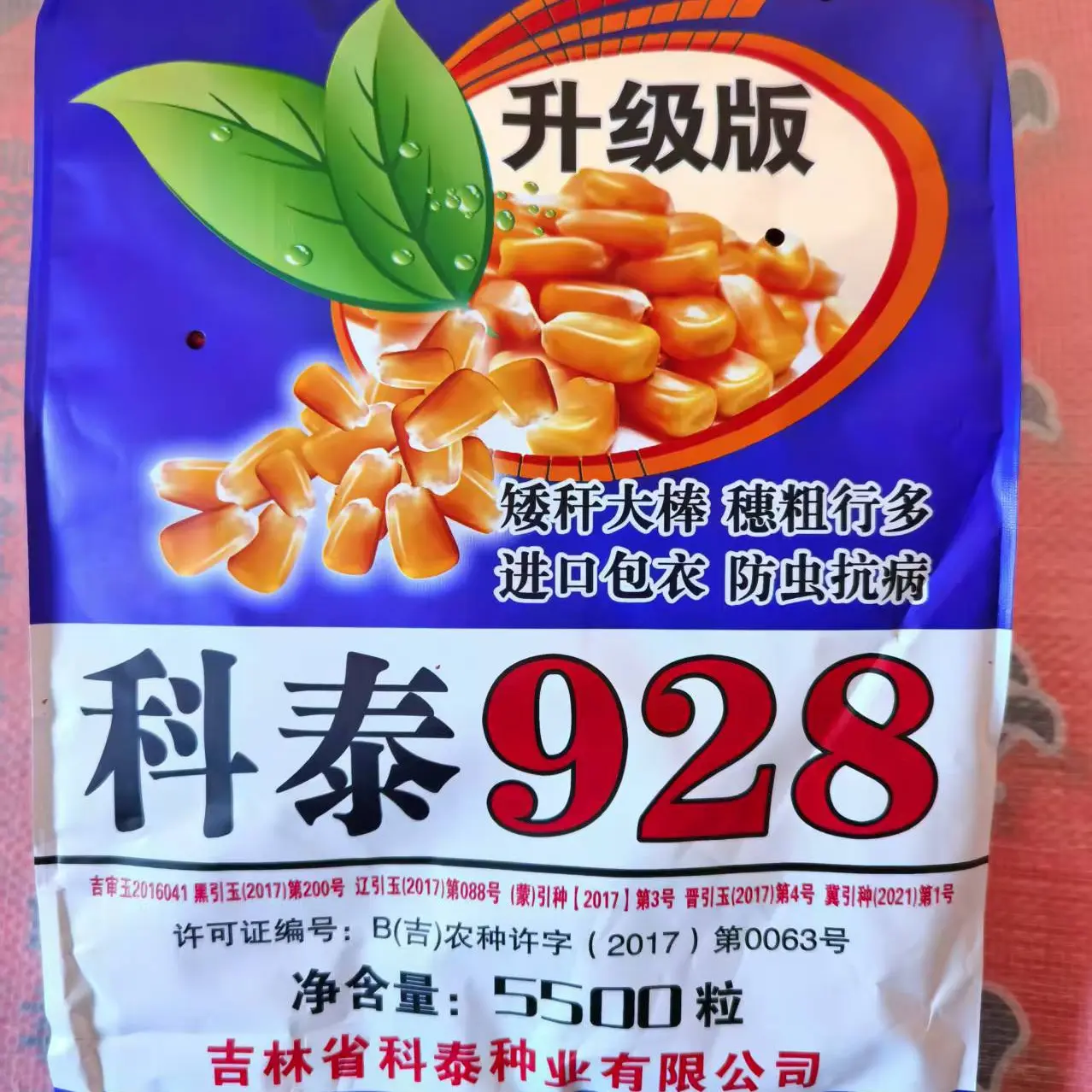 科泰928,18-22行抗倒伏，抗病抗旱紫杆高产