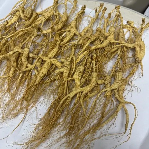 长白山老山参可泡酒煲汤泡茶磨粉的林下参