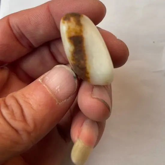 和田玉鸡骨白聚红皮小籽