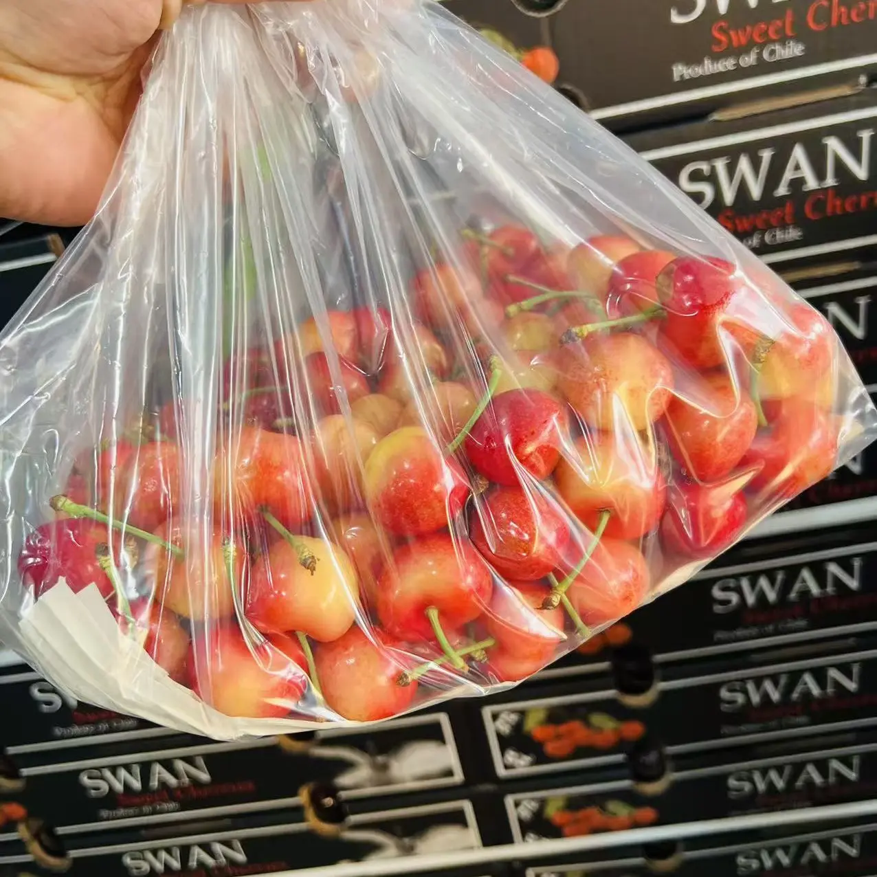 智利空运黑天鹅天空之城3J顺丰 内附果径卡