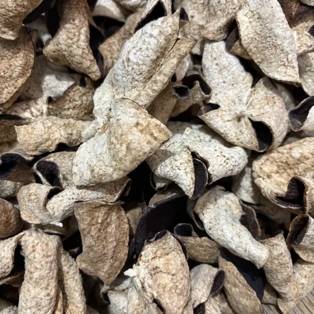 2021年正宗新会冬后大红皮 醇厚香甜 回甘回甜 