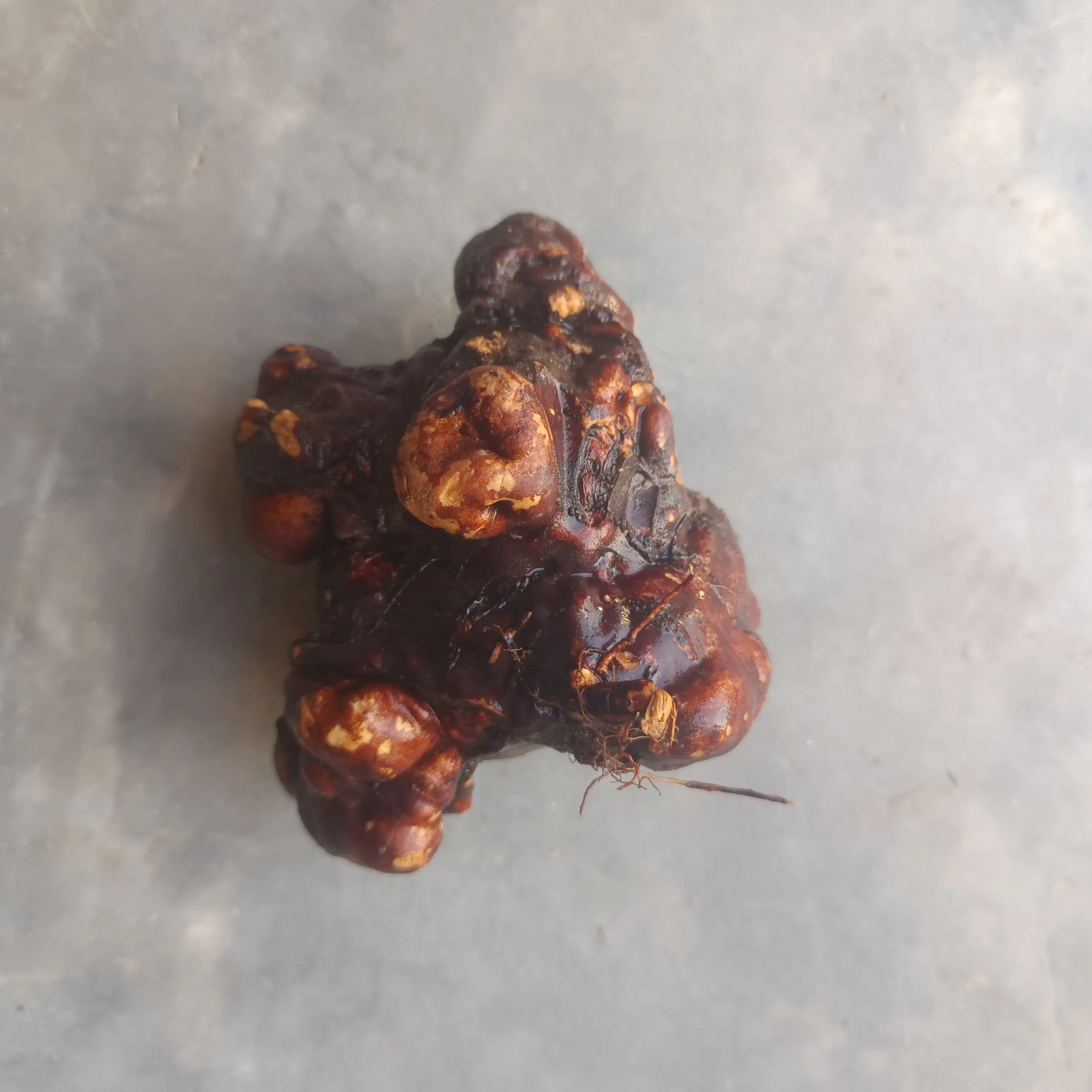 农家传统工艺九晒可直接食用可用于泡水泡酒煲汤的土特