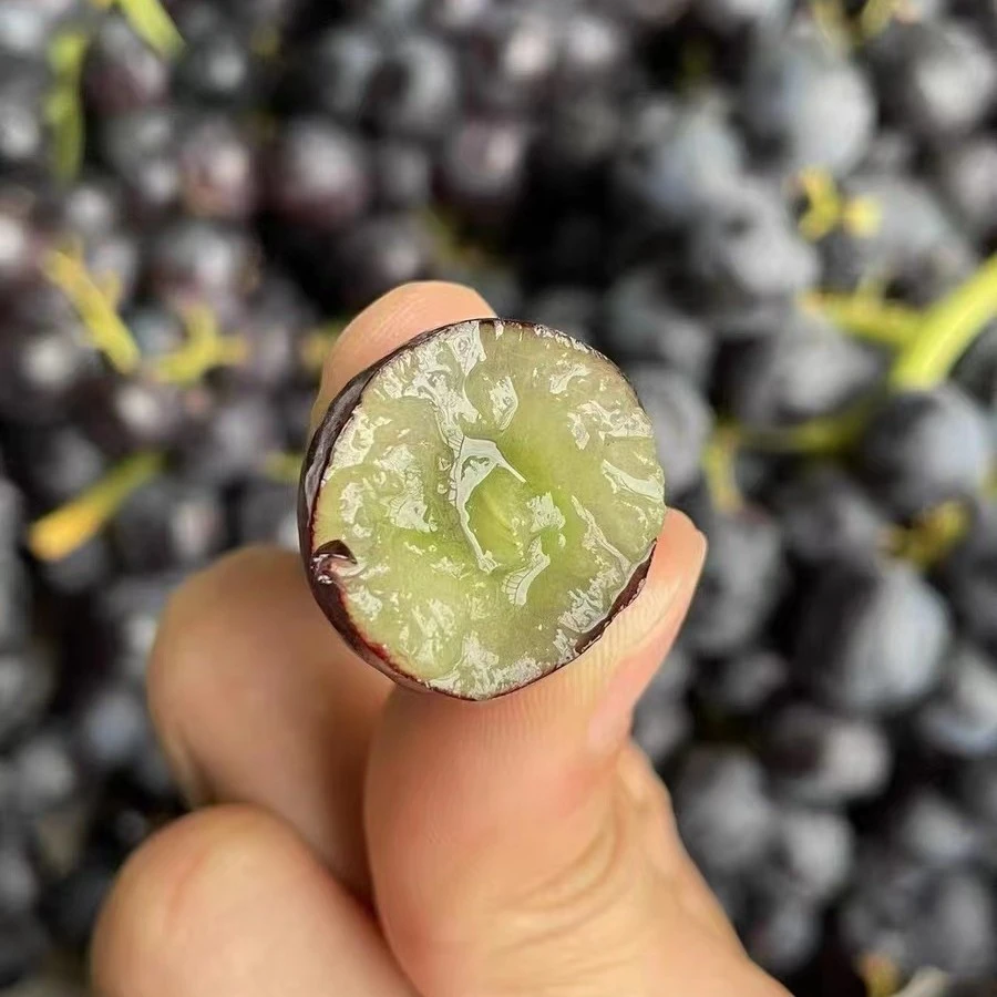  【北京同城小时达】秘鲁玫瑰香黑提当季新鲜提子无籽葡萄香味足时令进口水果