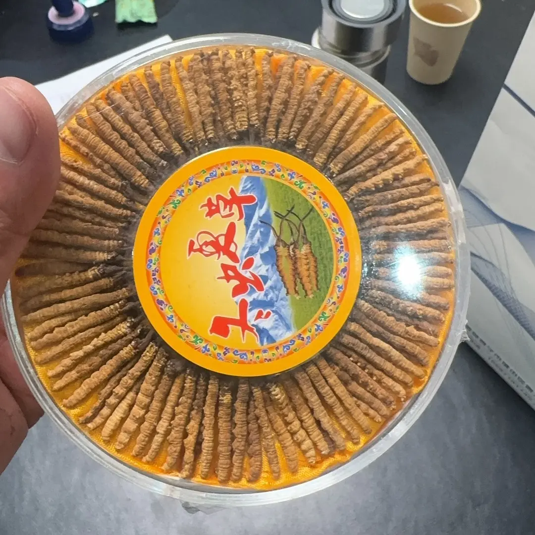 祁连山头期足干冬虫夏草滋补养生礼盒装