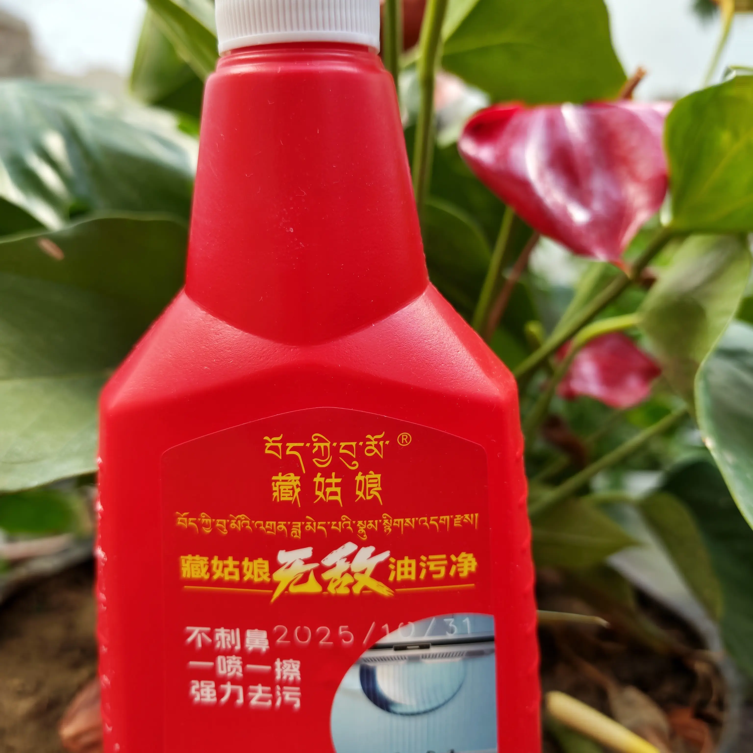 藏姑娘无敌油污净